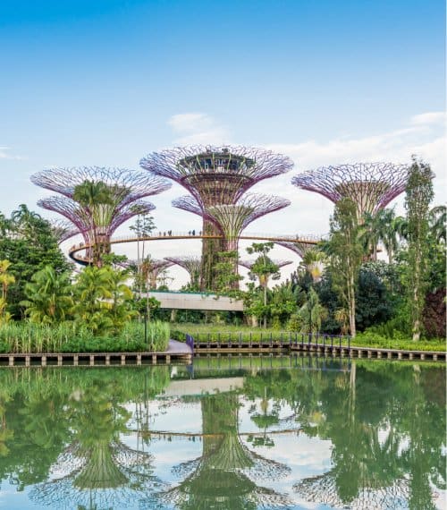 Singapore Gallery Image 3