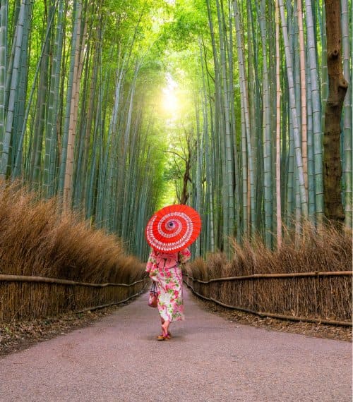 Japan Gallery Image 7