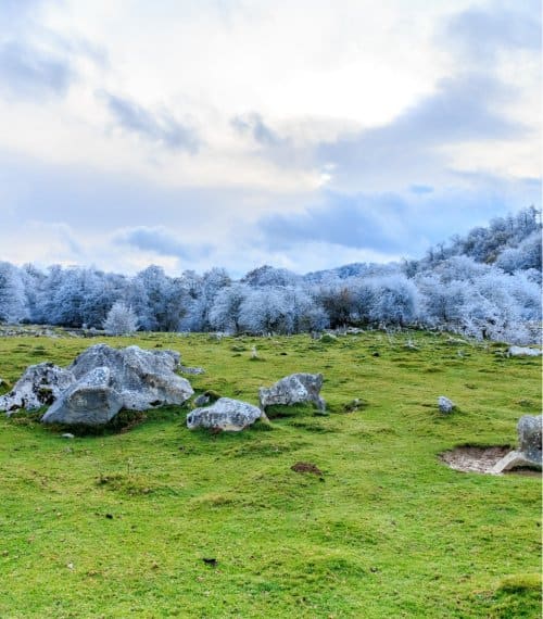 Iceland Gallery Image 7