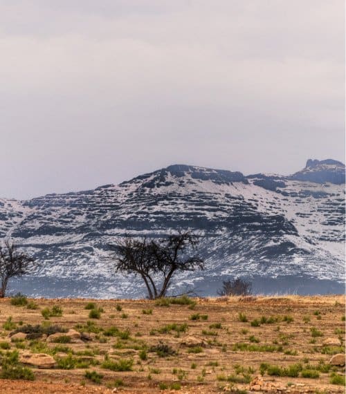 South Africa Gallery Image 8