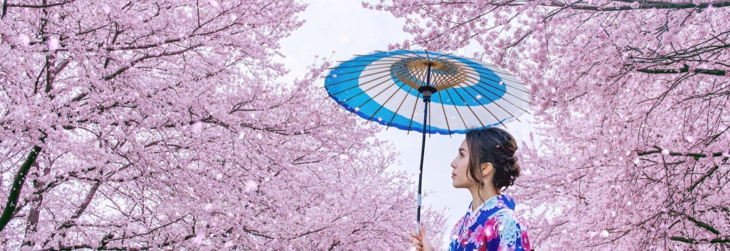 Cherry Blossom Festival Immersion
