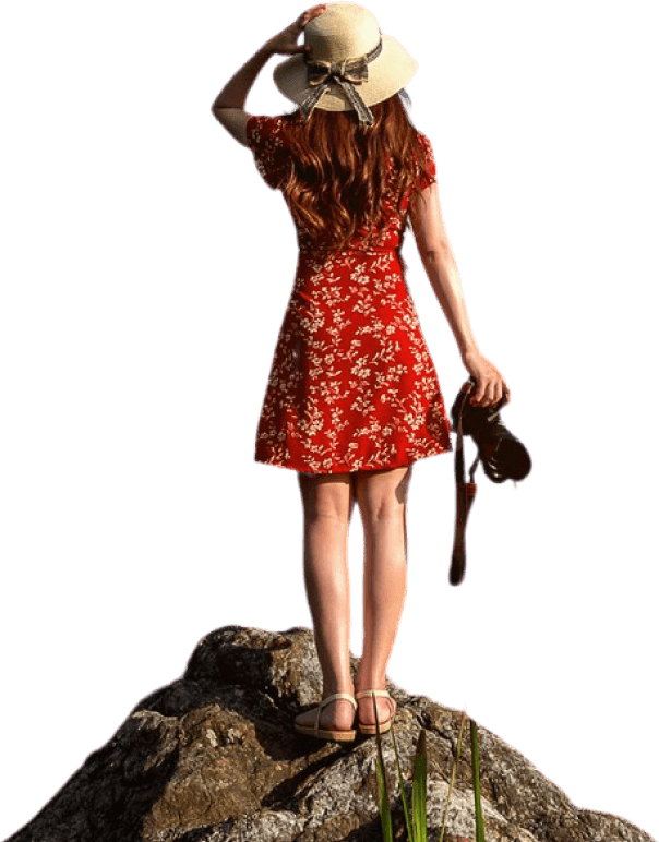 Traveler