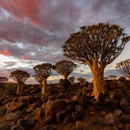South Africa destination