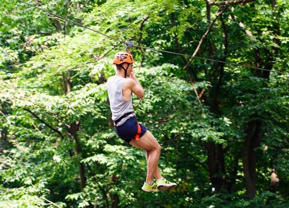 Zip Lining gallery image